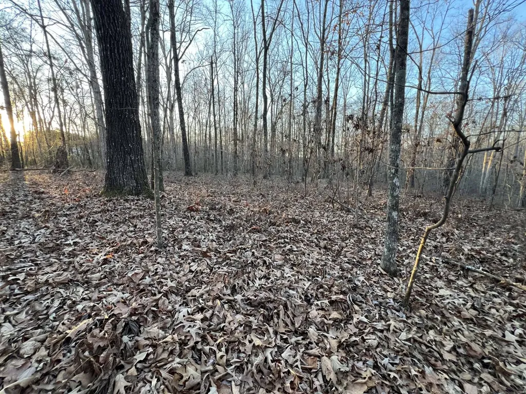 0 Ray Street Centre AL 35960