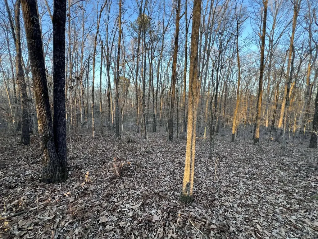 0 Ray Street Centre AL 35960