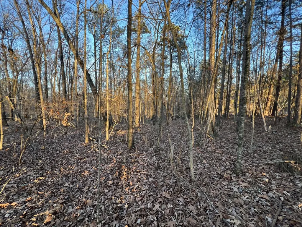 0 Ray Street Centre AL 35960