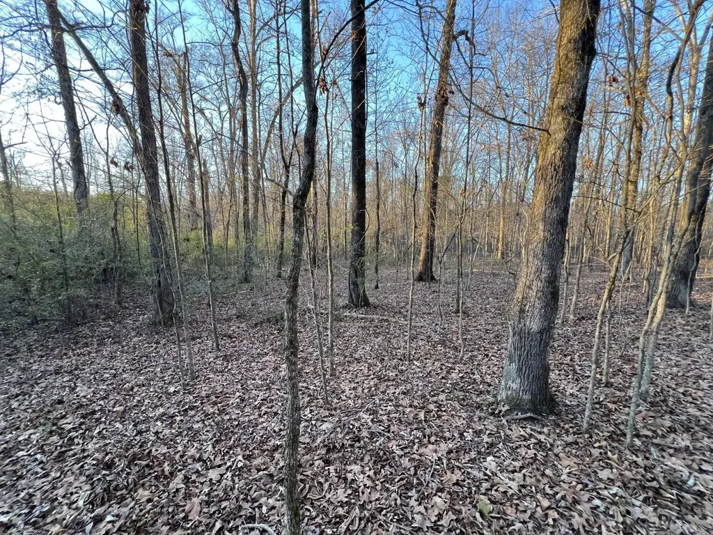 0 Ray Street Centre AL 35960