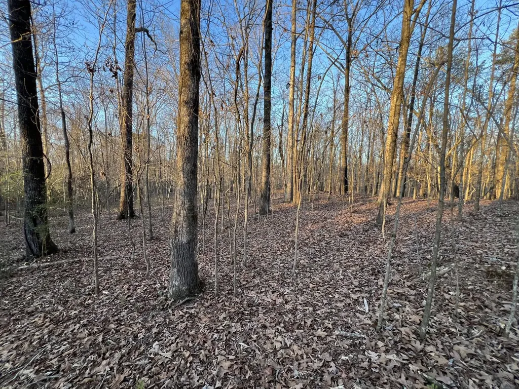 0 Ray Street Centre AL 35960