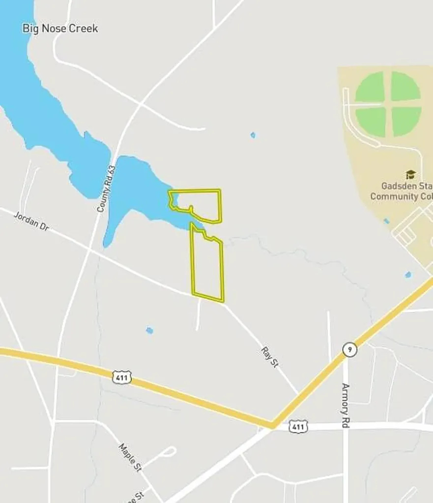 0 Ray Street Centre AL 35960