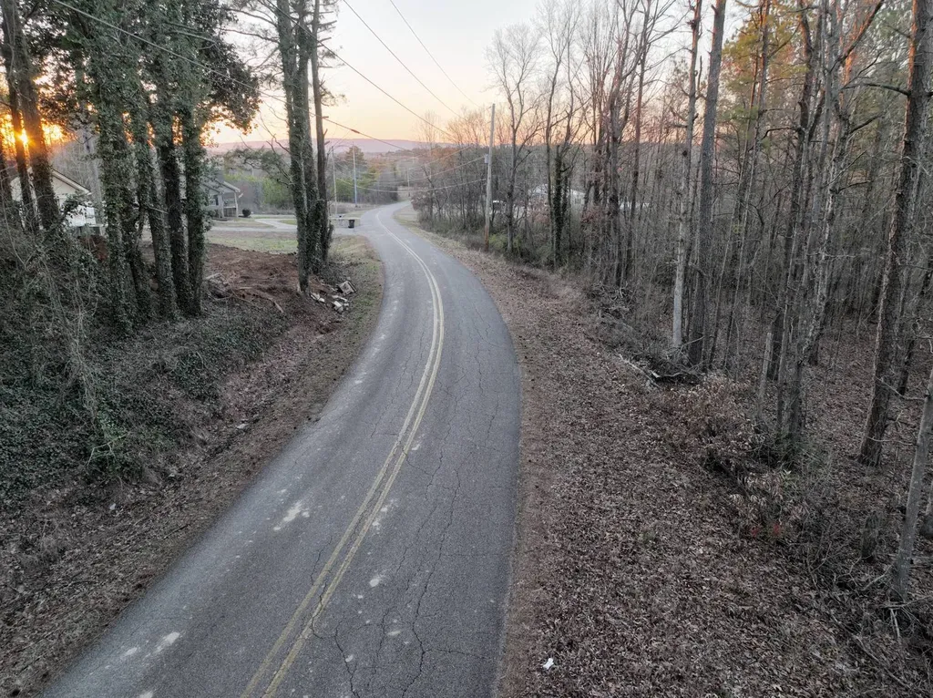 0 Ray Street Centre AL 35960