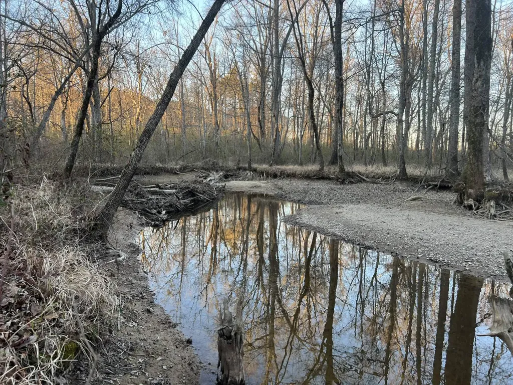 0 Ray Street Centre AL 35960