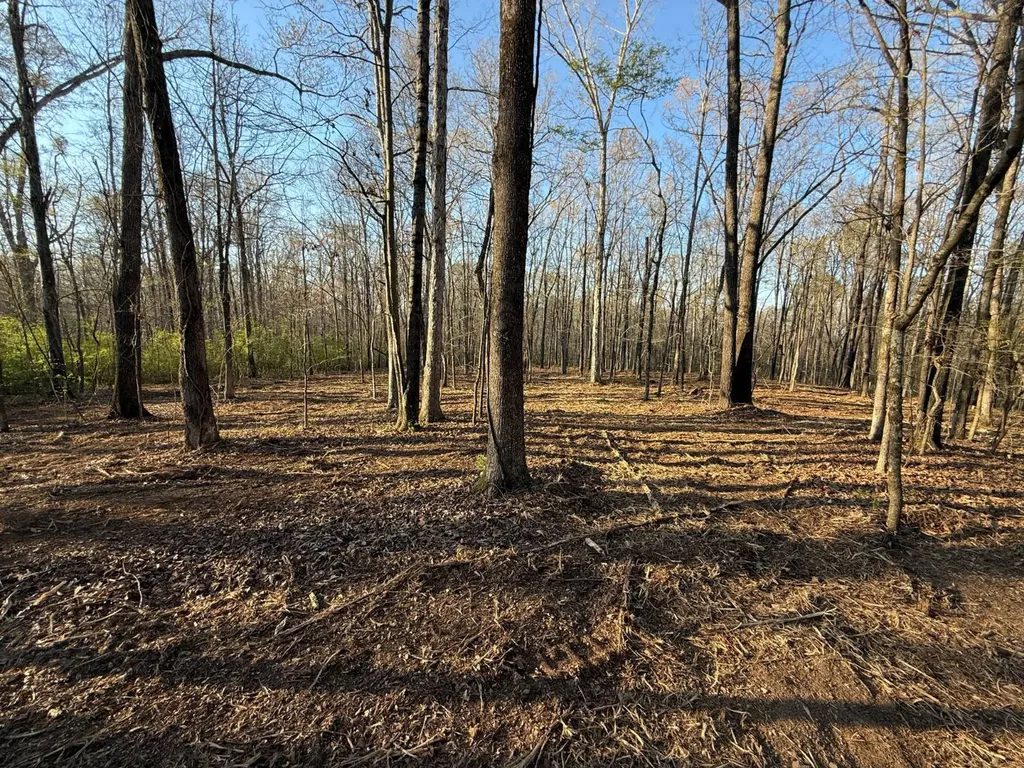 0 Ray Street Centre AL 35960