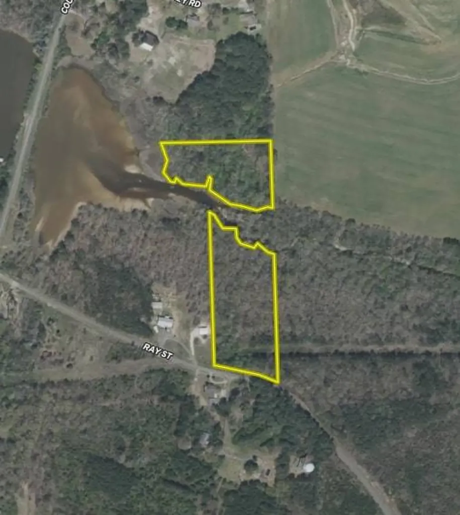 0 Ray Street Centre AL 35960