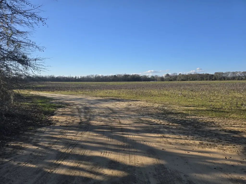 0 County Road 17 Autaugaville AL 36003