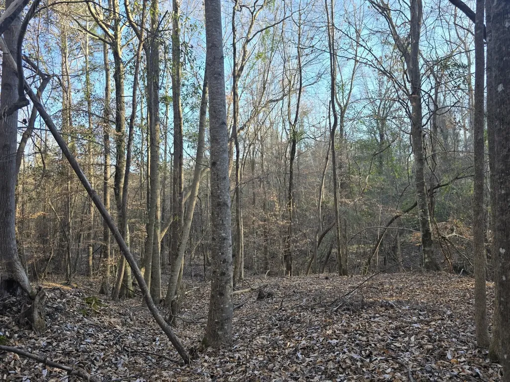 0 County Road 17 Autaugaville AL 36003