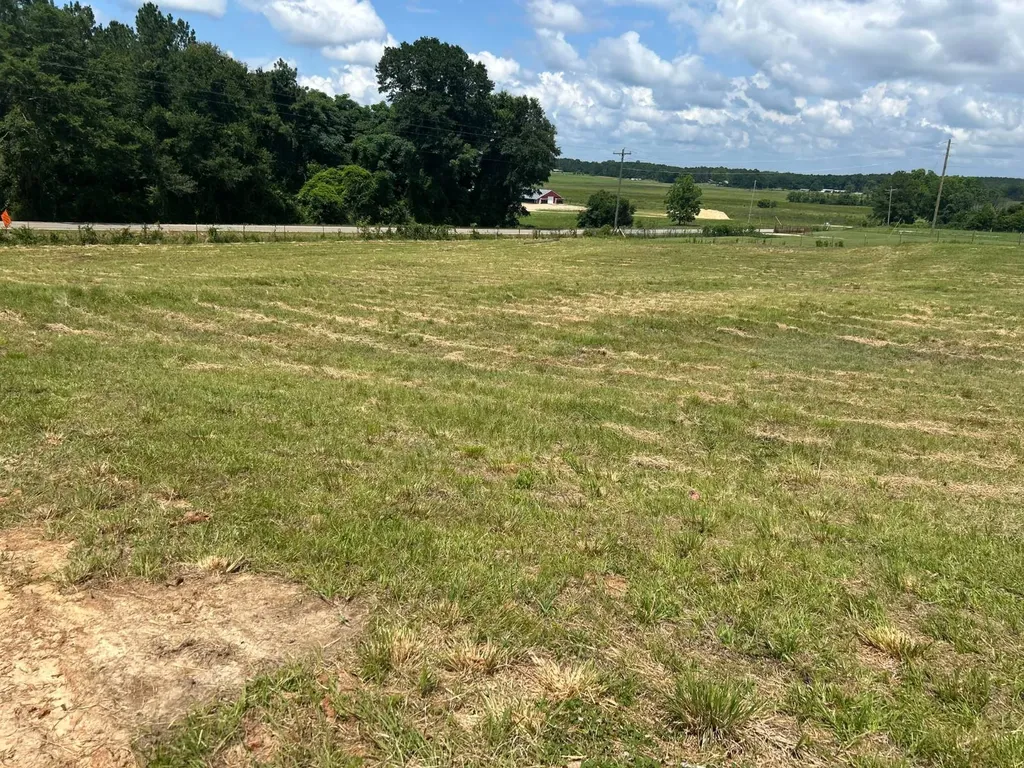 0 County Road 2276 Glenwood AL 36034