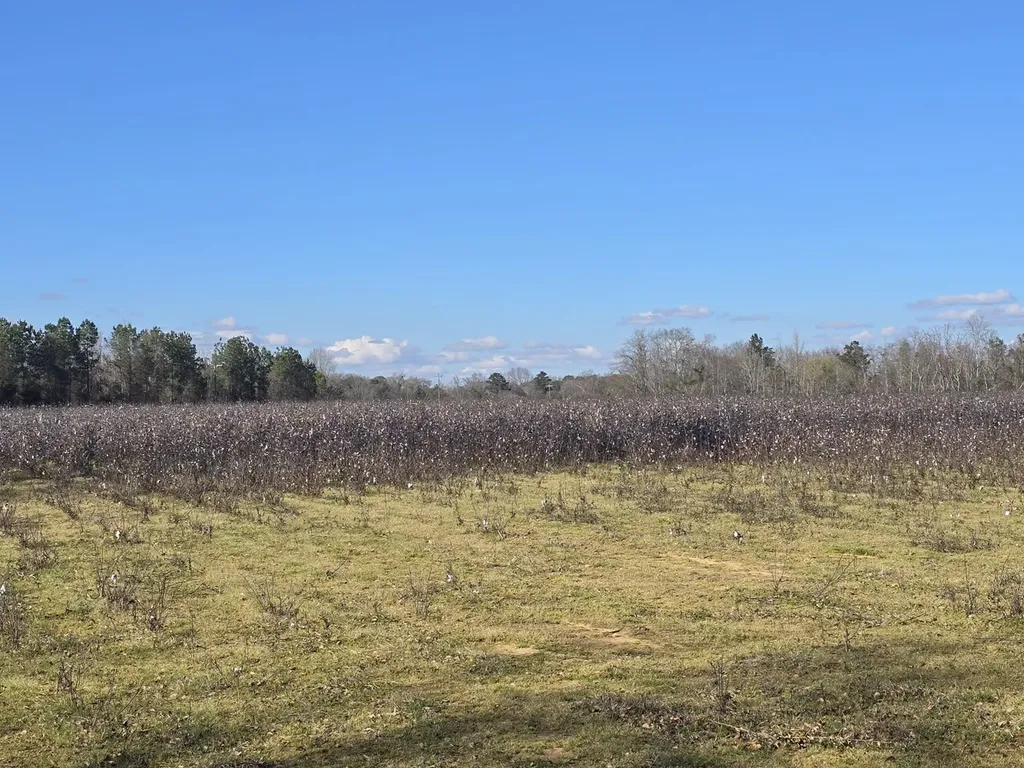 0 County Road 17 Autaugaville AL 36003