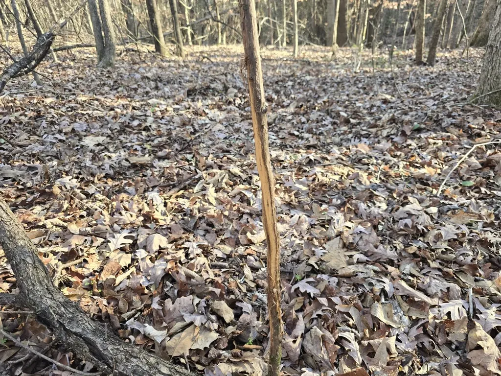 0 County Road 17 Autaugaville AL 36003