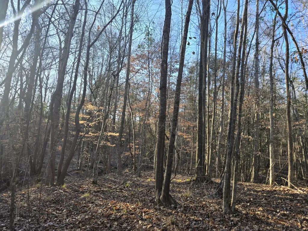 0 County Road 17 Autaugaville AL 36003