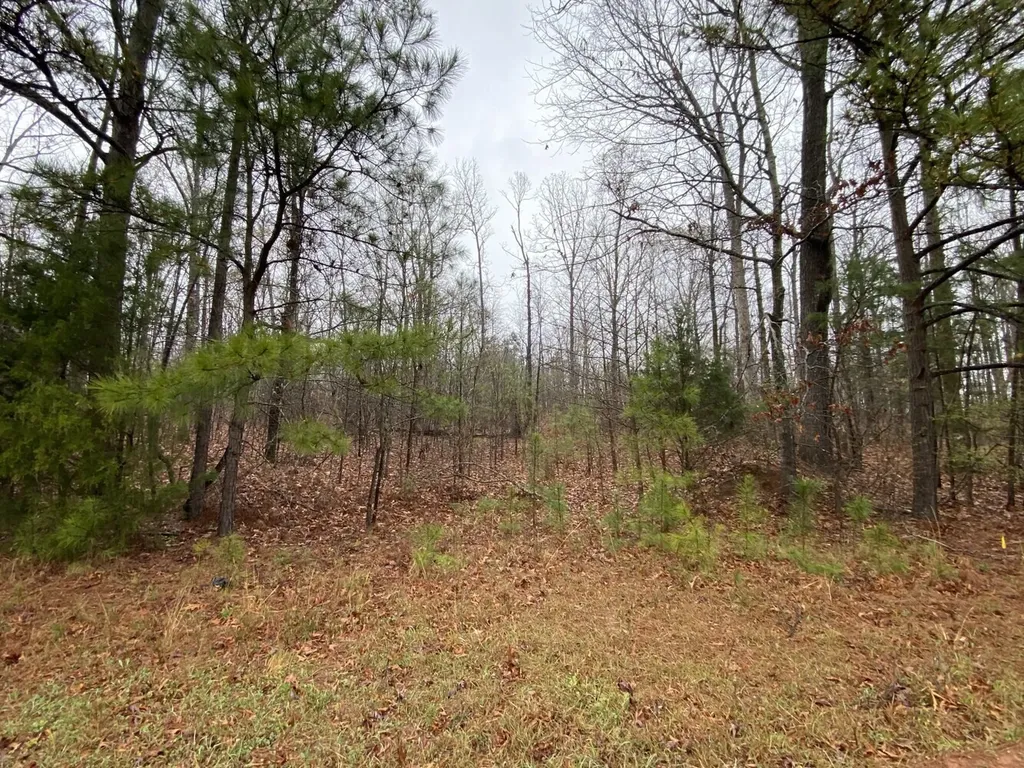 Highway 280 Dadeville AL 36853