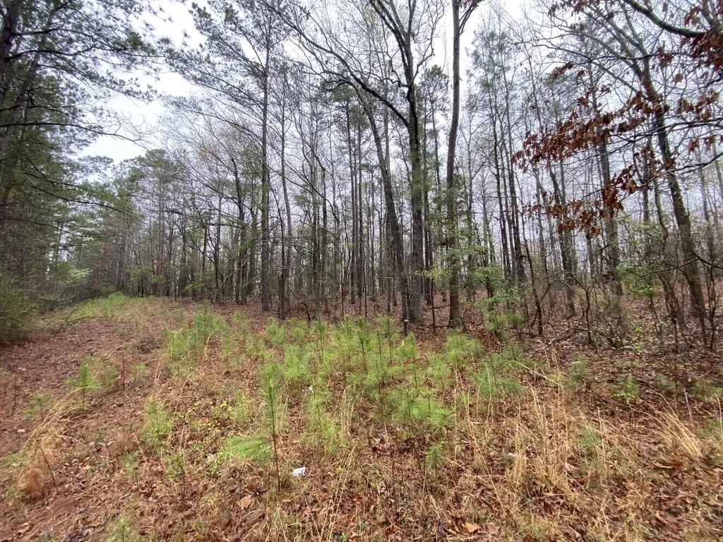 Highway 280 Dadeville AL 36853