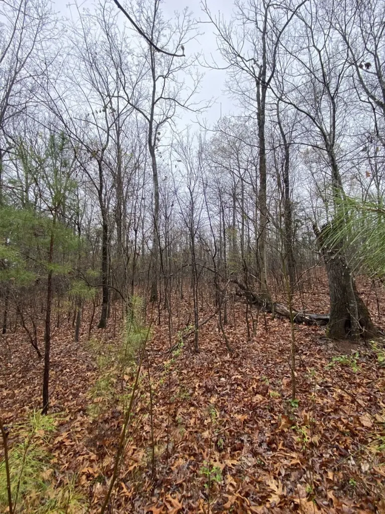 Highway 280 Dadeville AL 36853