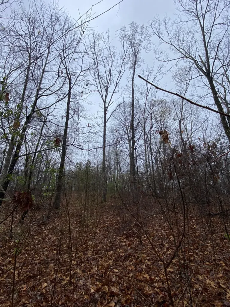 Highway 280 Dadeville AL 36853