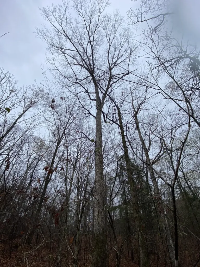 Highway 280 Dadeville AL 36853