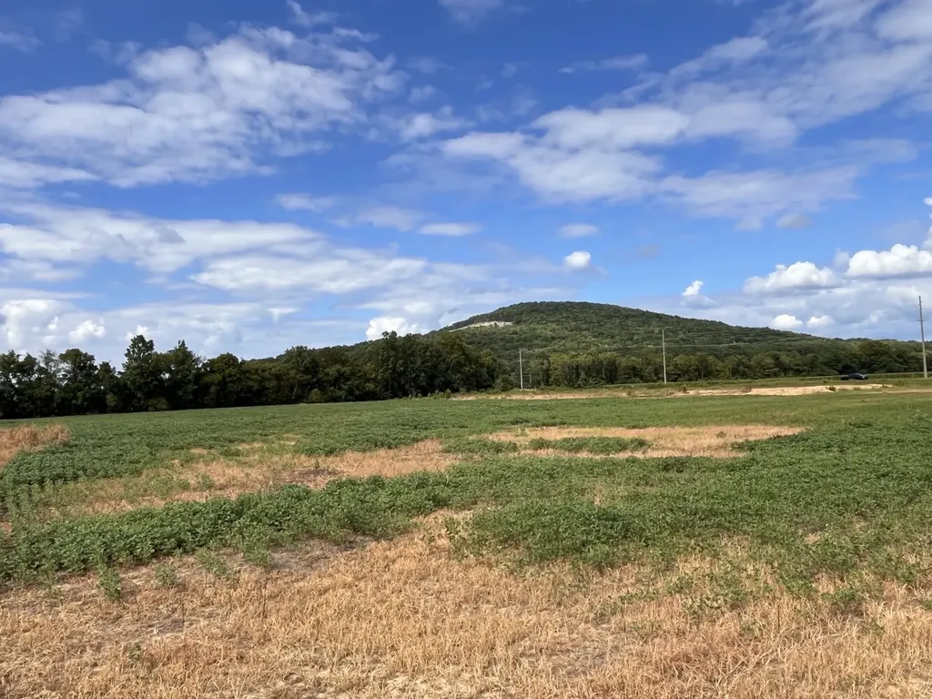 0 Rock Cut Road Tract 2 Gurley AL 35748