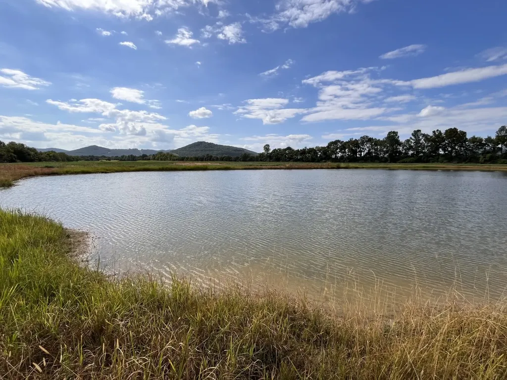 0 Rock Cut Road Tract 2 Gurley AL 35748