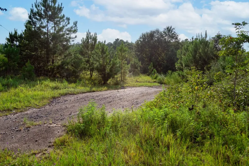 0 Us Highway 84 E Andalusia AL 36420