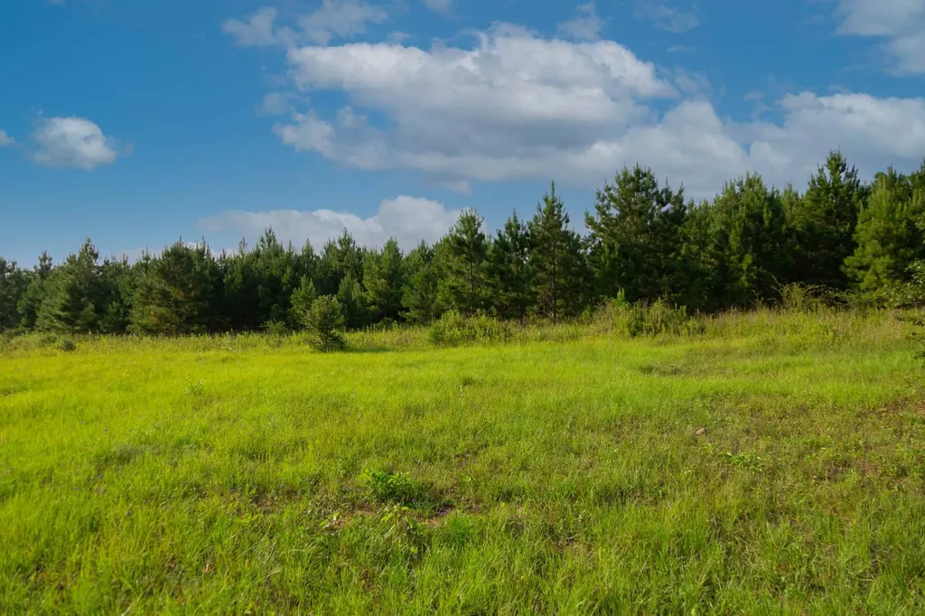 0 Us Highway 84 E Andalusia AL 36420