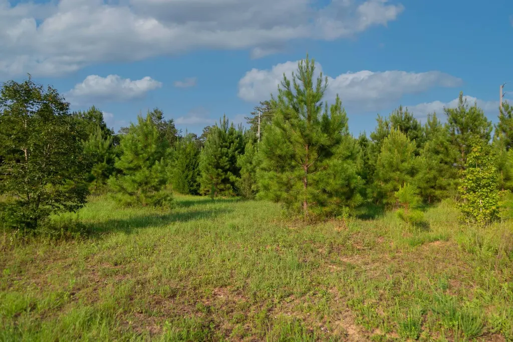 0 Us Highway 84 E Andalusia AL 36420