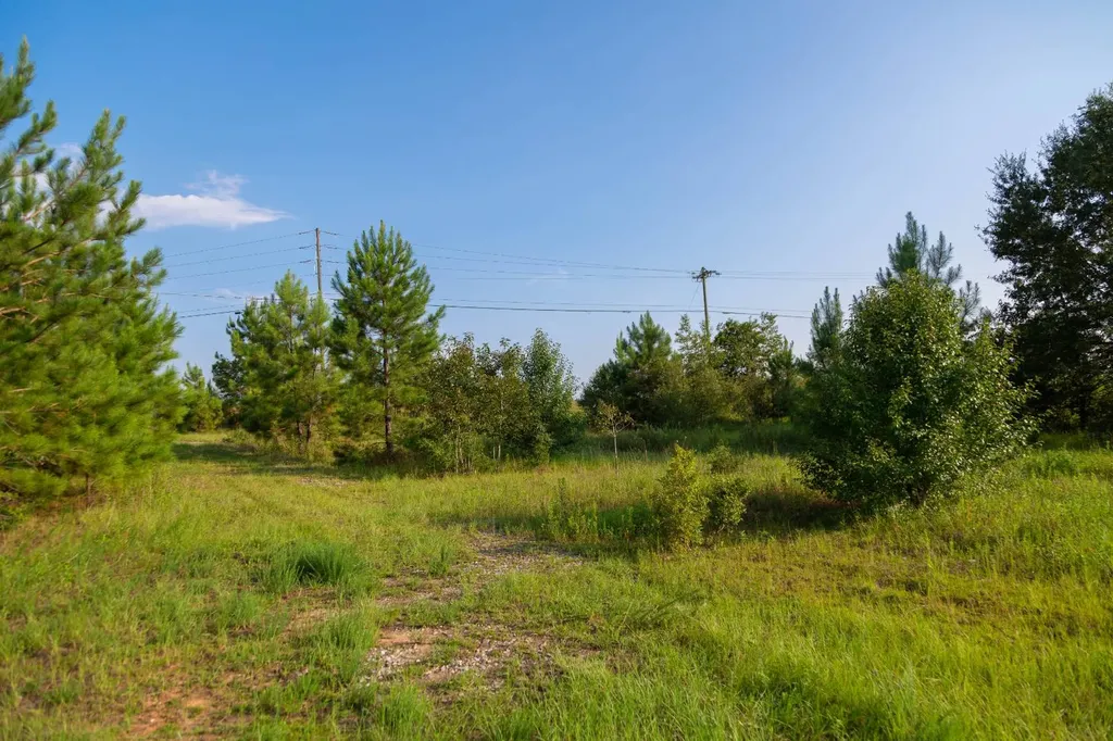 0 Us Highway 84 E Andalusia AL 36420