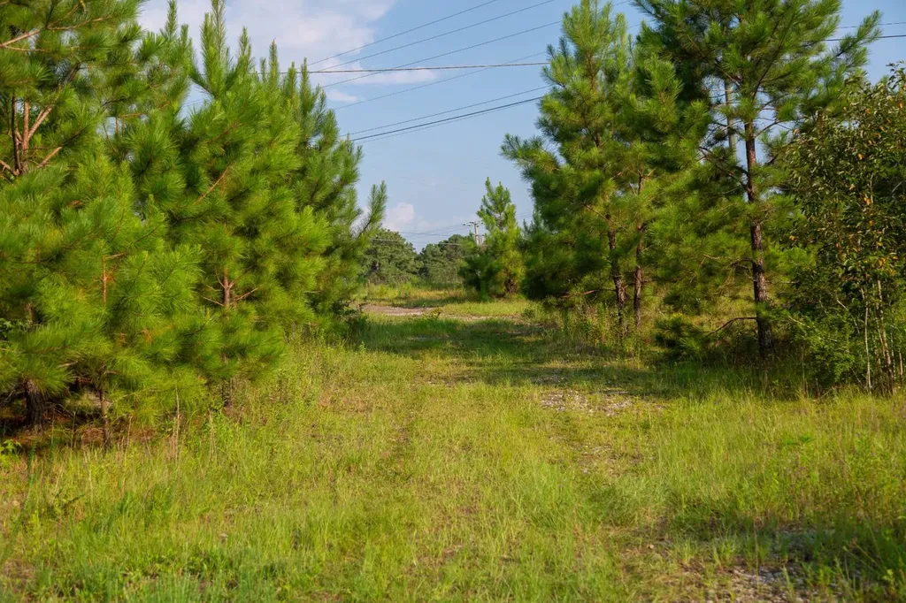 0 Us Highway 84 E Andalusia AL 36420