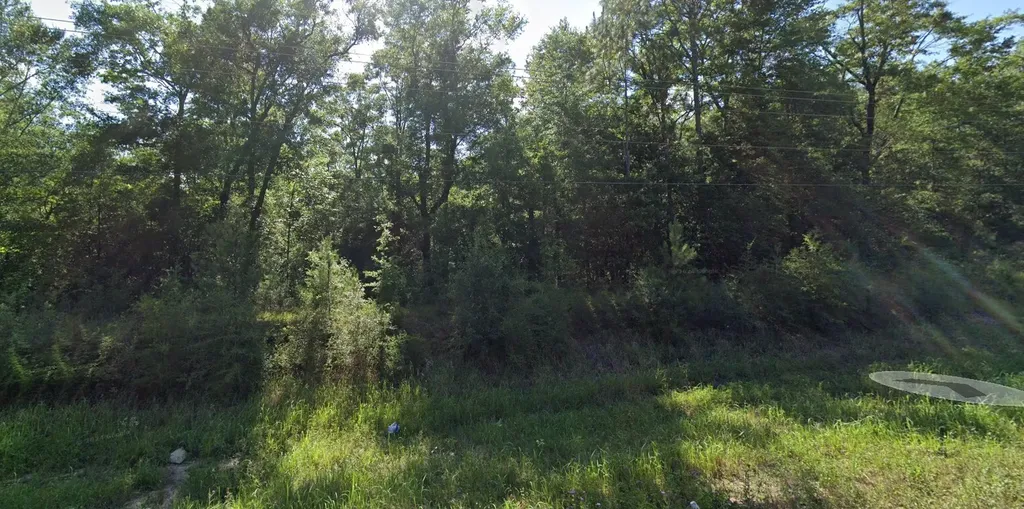0 Hwy 45 Tract A Eight Mile AL 36613
