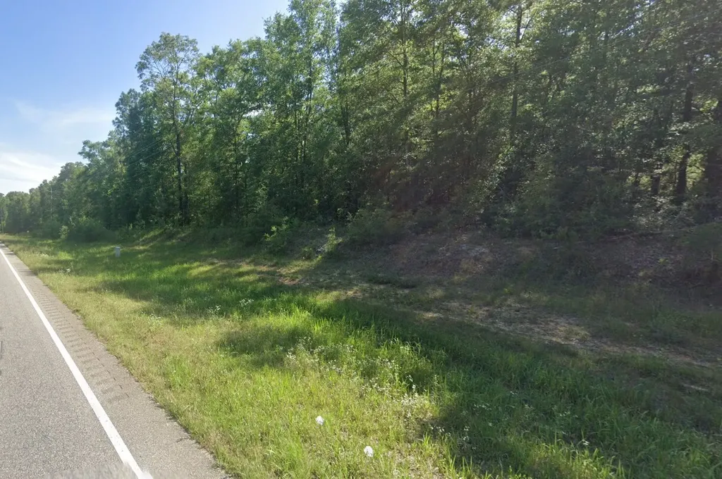 0 Hwy 45 Tract A Eight Mile AL 36613