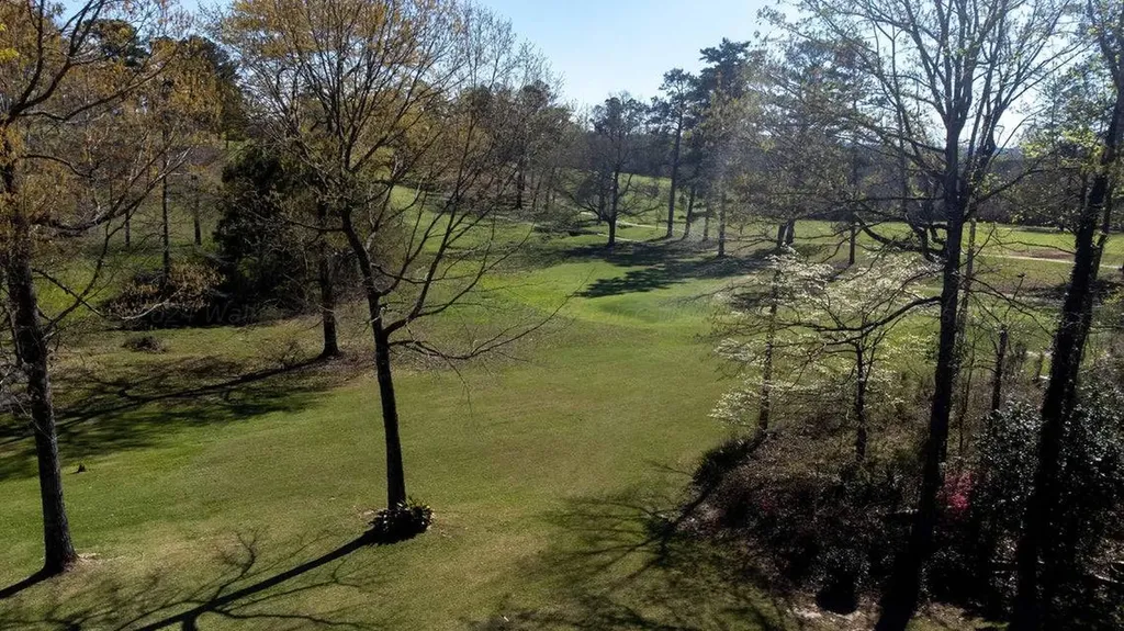 231 Fairway Drive Butler AL 36904