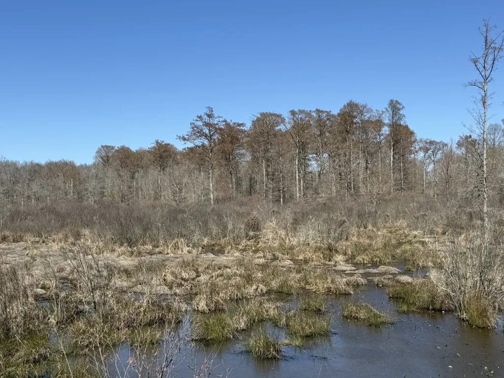0 Audis Driver Road Gordo AL 35466