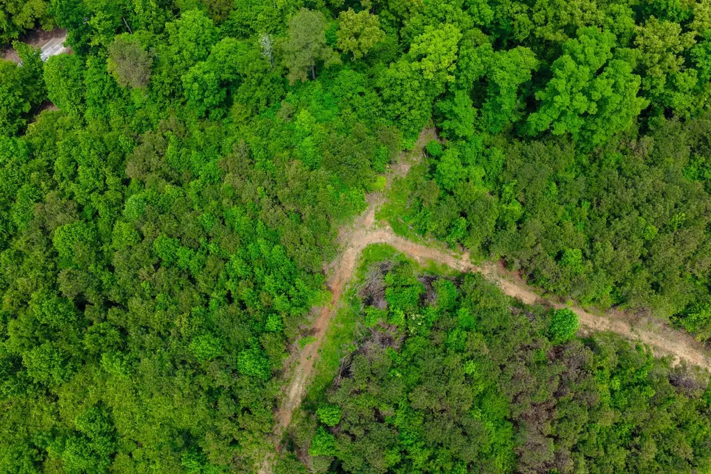 1 County Road 94 Hamilton AL 35570