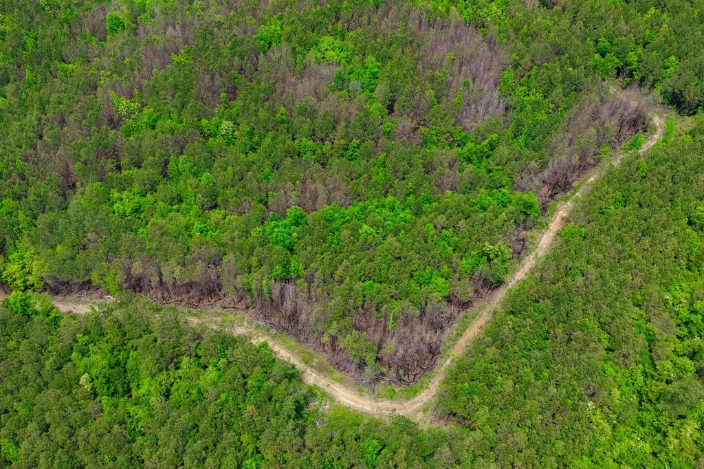 1 County Road 94 Hamilton AL 35570