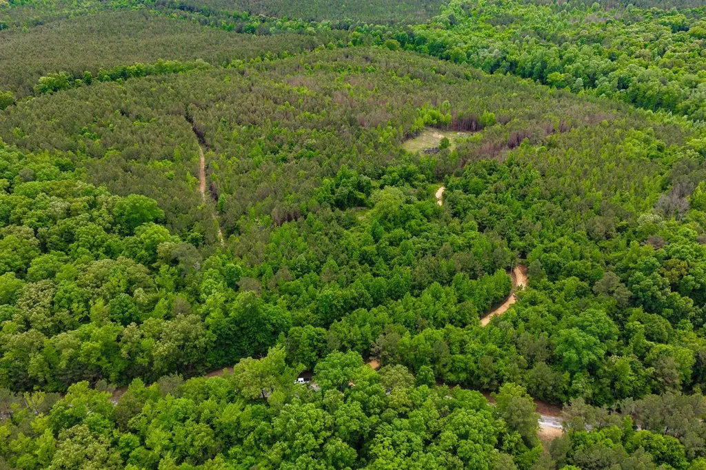 1 County Road 94 Hamilton AL 35570