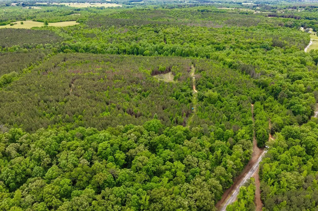 1 County Road 94 Hamilton AL 35570