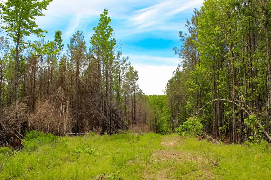1 County Road 94 Hamilton AL 35570