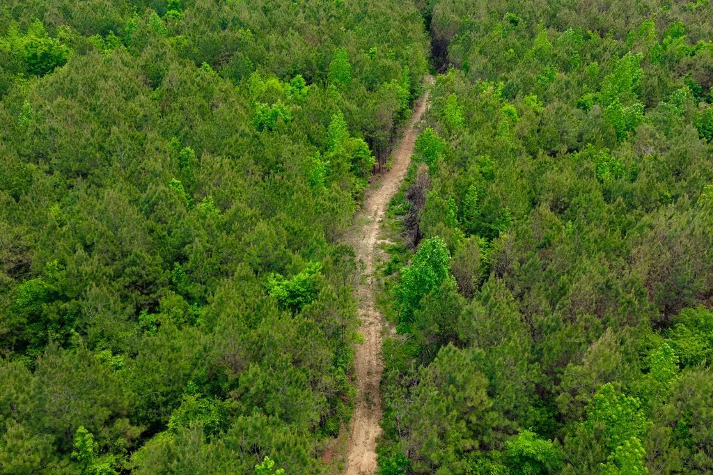 1 County Road 94 Hamilton AL 35570