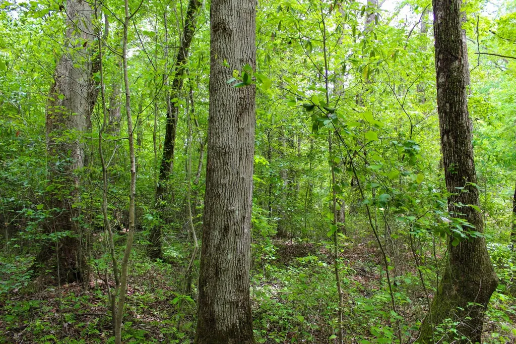 1 County Road 94 Hamilton AL 35570