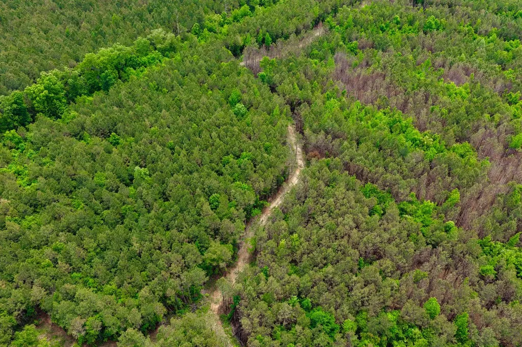 1 County Road 94 Hamilton AL 35570