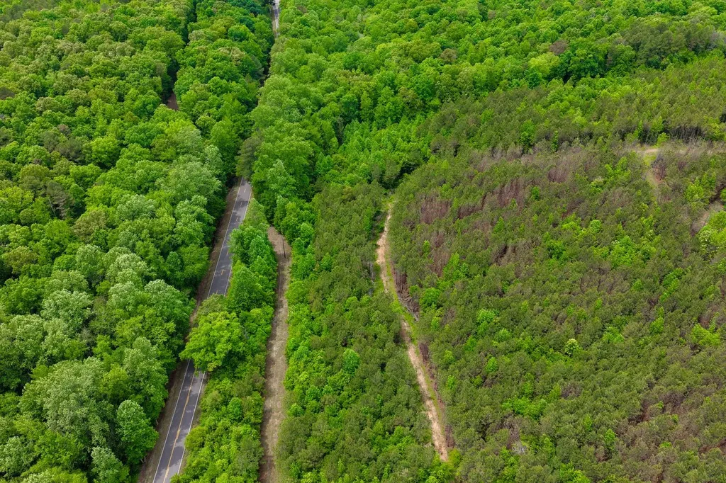 1 County Road 94 Hamilton AL 35570
