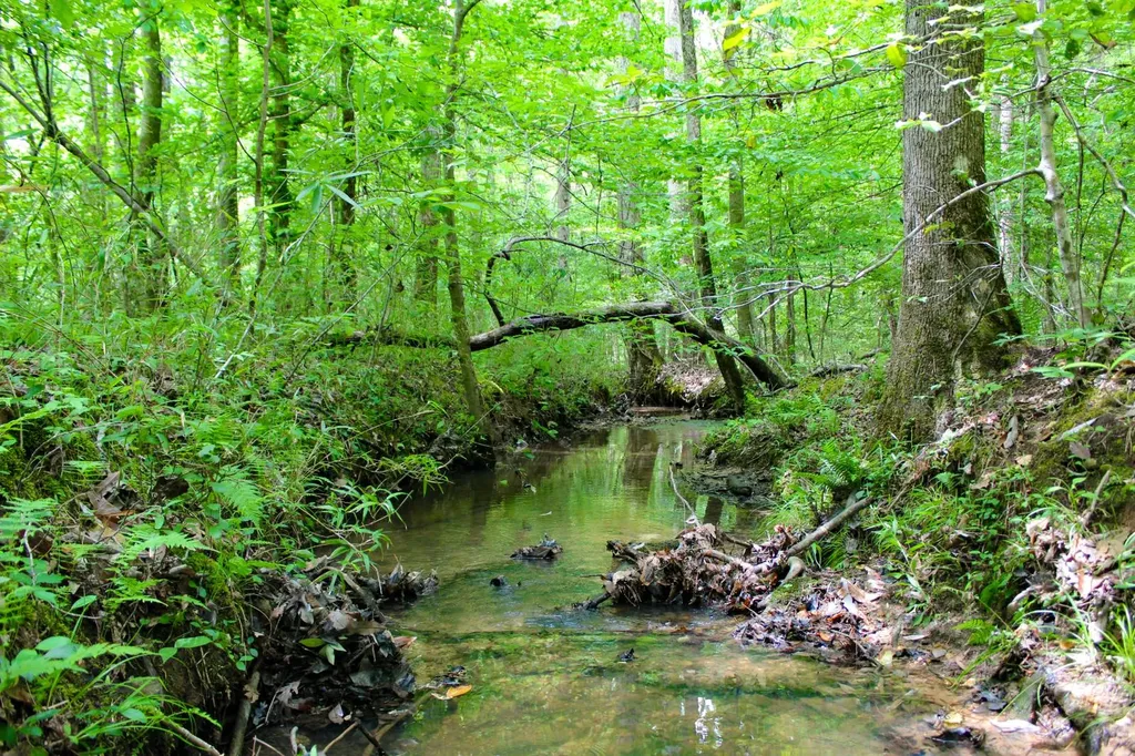 1 County Road 94 Hamilton AL 35570