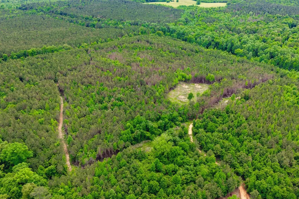 1 County Road 94 Hamilton AL 35570