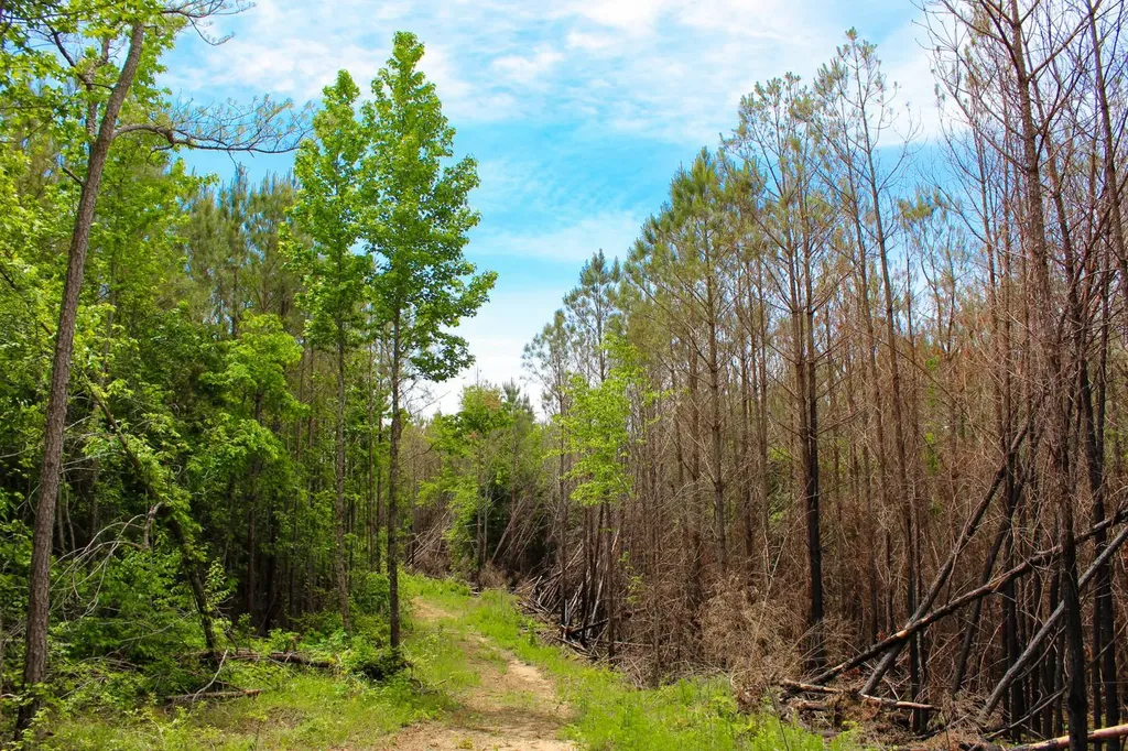 1 County Road 94 Hamilton AL 35570