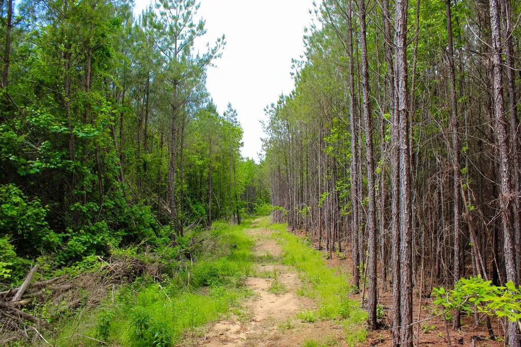1 County Road 94 Hamilton AL 35570