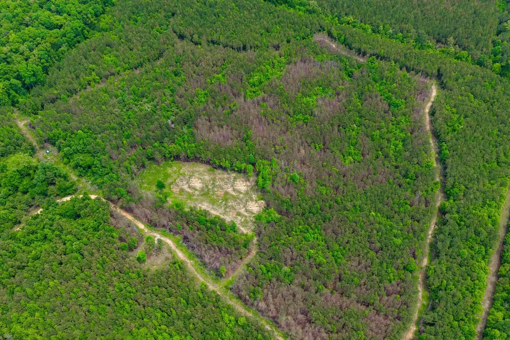 1 County Road 94 Hamilton AL 35570