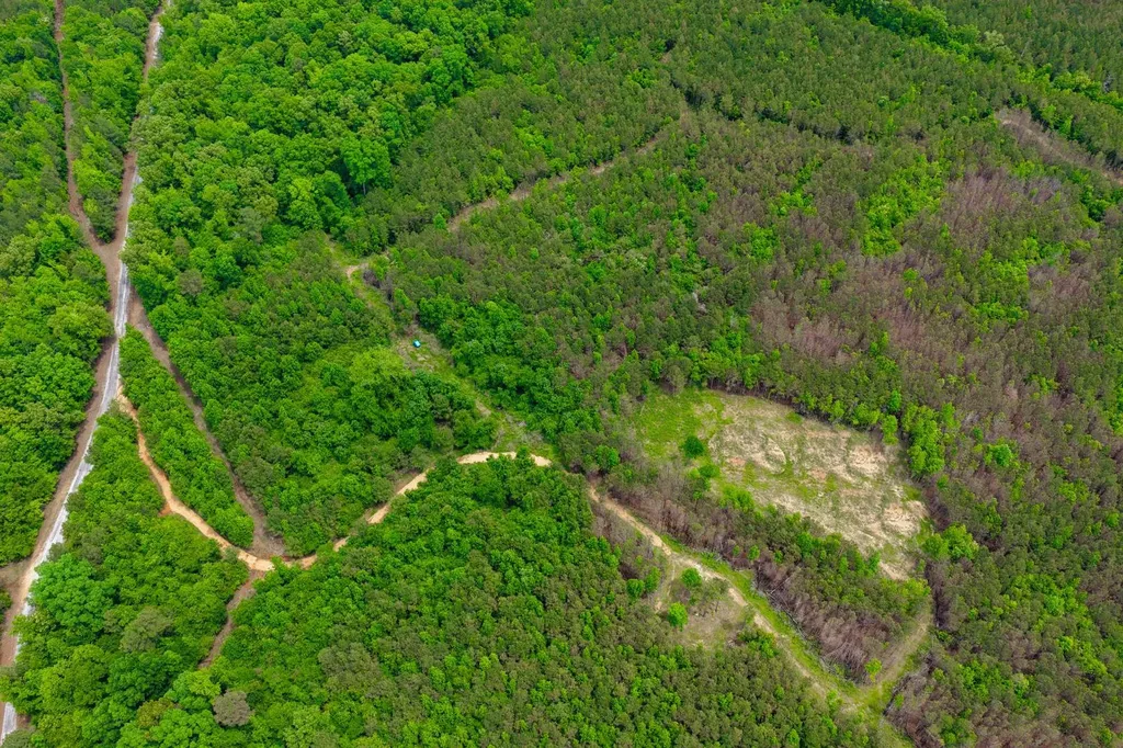 1 County Road 94 Hamilton AL 35570