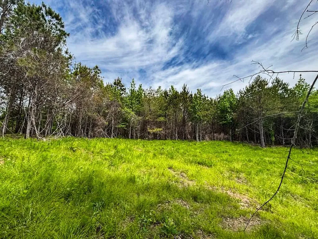1 County Road 94 Hamilton AL 35570