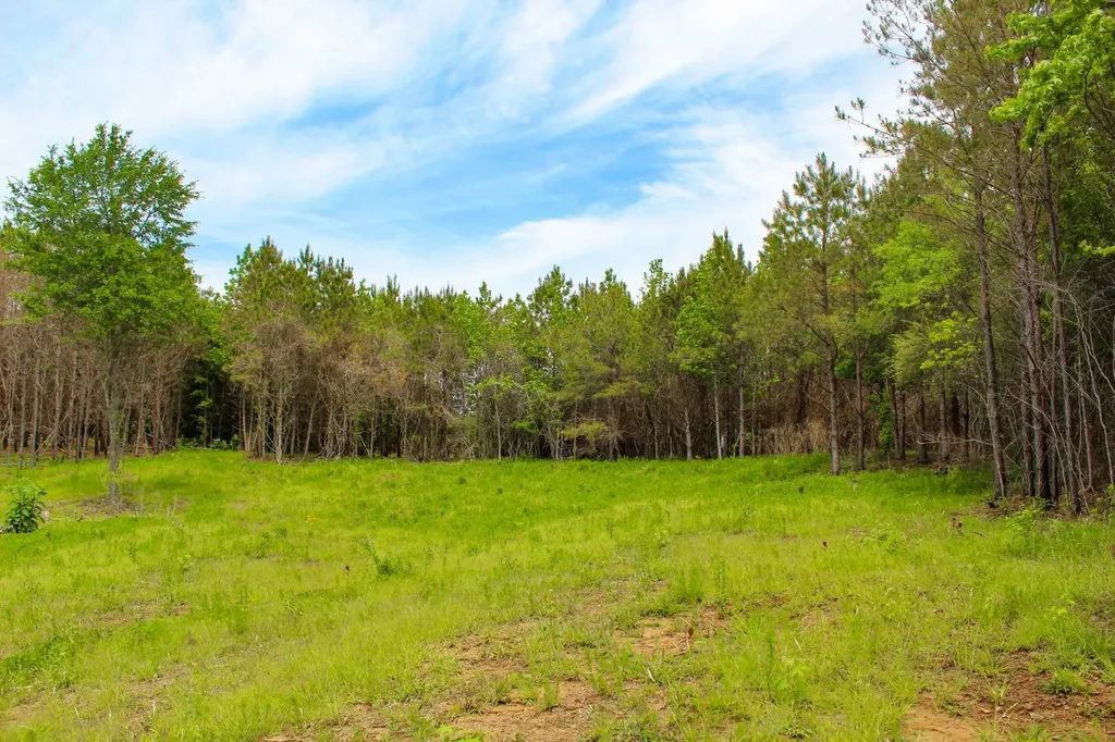 1 County Road 94 Hamilton AL 35570