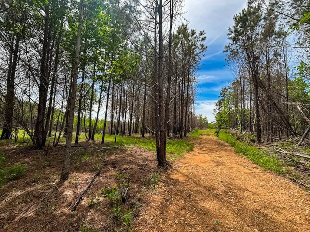 1 County Road 94 Hamilton AL 35570